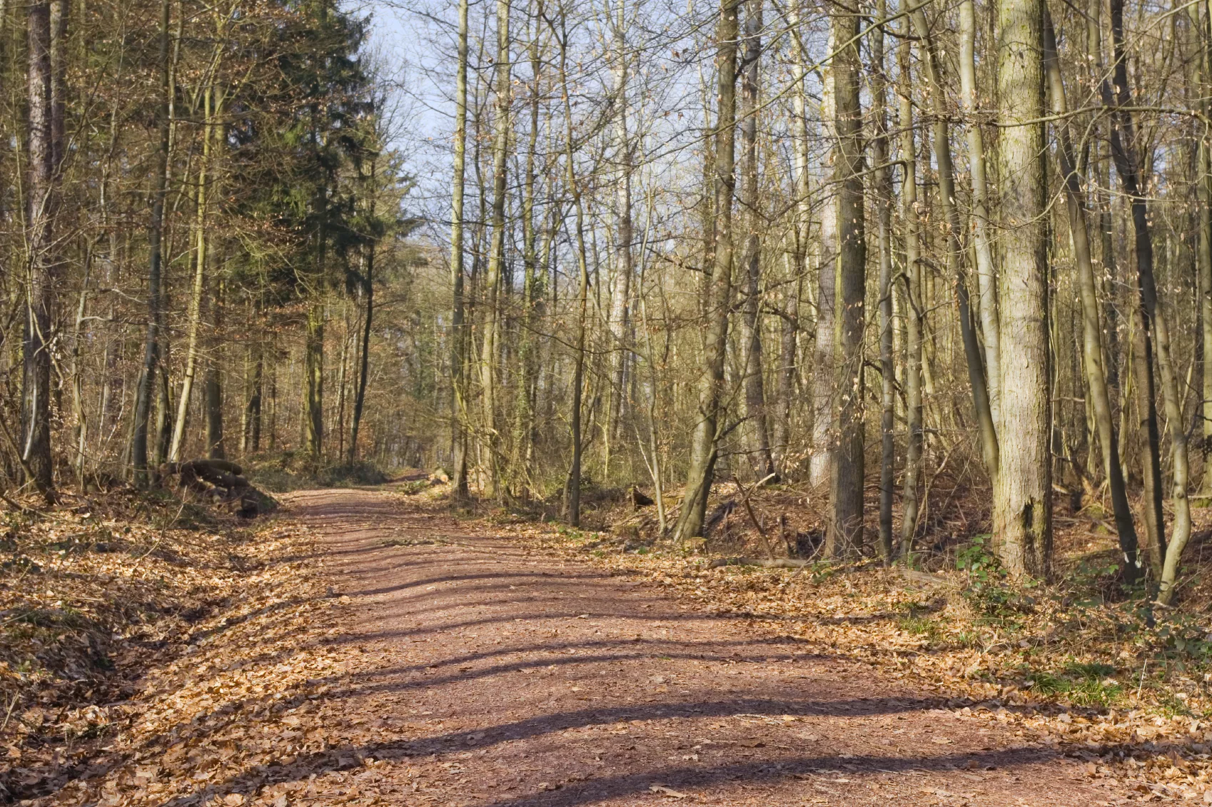 trail