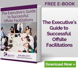 Executive's guide