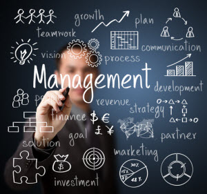 Choose the Right Management Development Program for Your Team