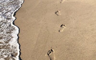 Making Decisions with Your Toes: How Your “Brain-Body” Helps You Lead
