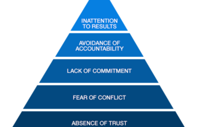 Does Your Team Have Trust?