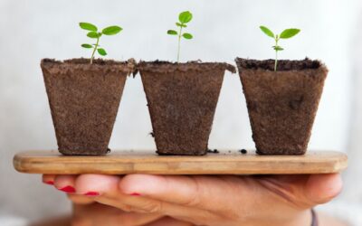 Applying Growth Mindset to Team Performance