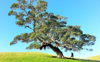 Begin Building Your Resilience: Today