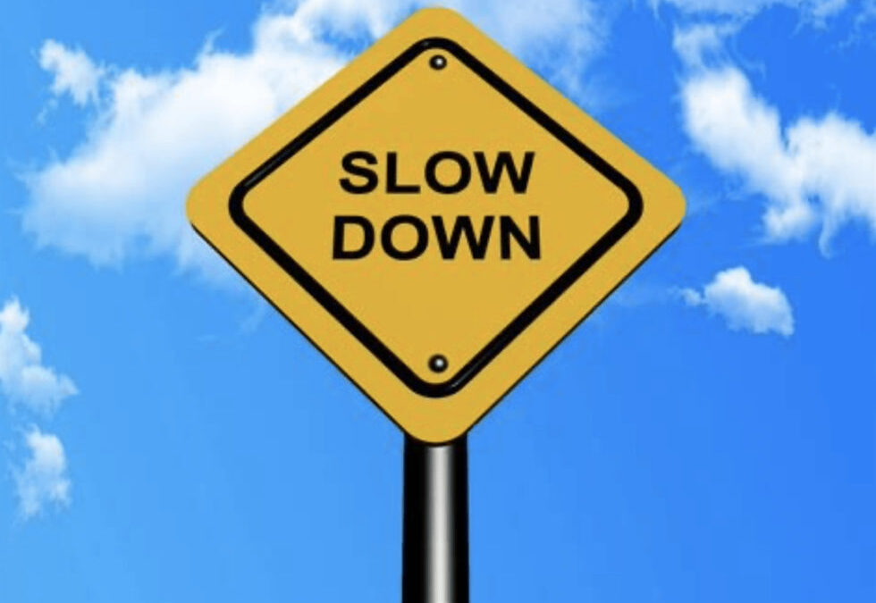 Tips for Business Leaders: Slow Down to Go Faster