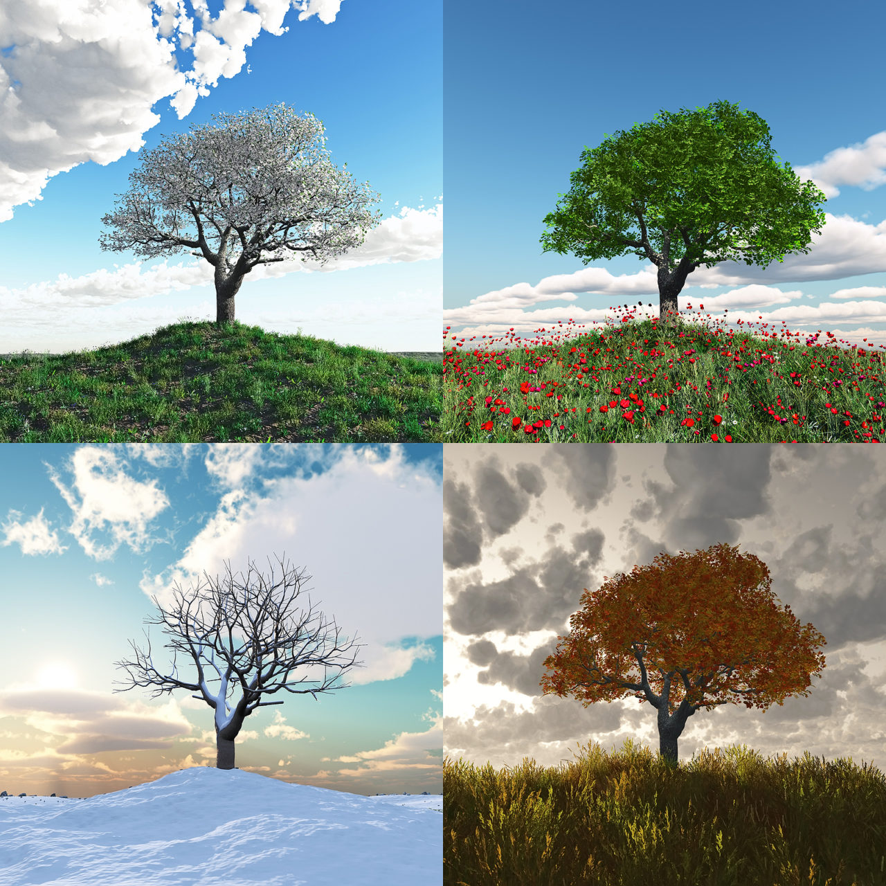 4 pictures of trees in different seasons