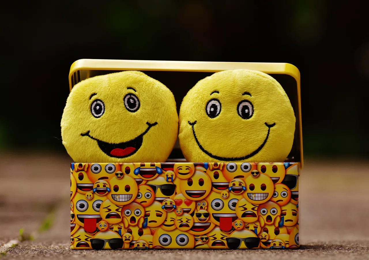 Two smileys in a box
