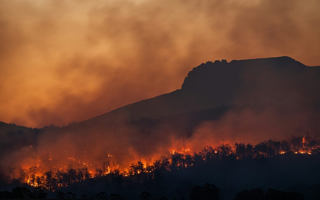 LA Fires: When the Sky Turned Black