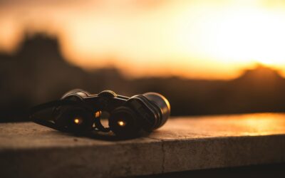 How to Align Perceptions with Intentions