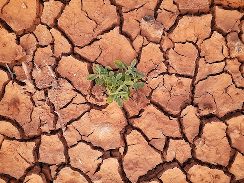 drought